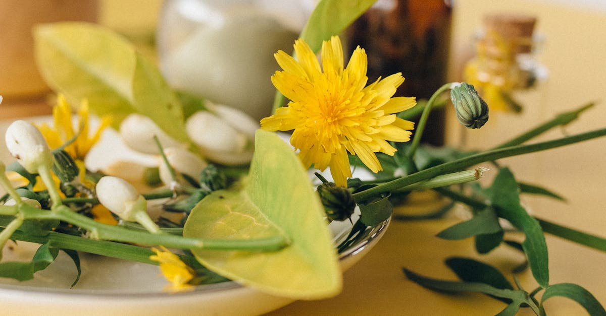 What is the difference between natural therapy and homeopathy?